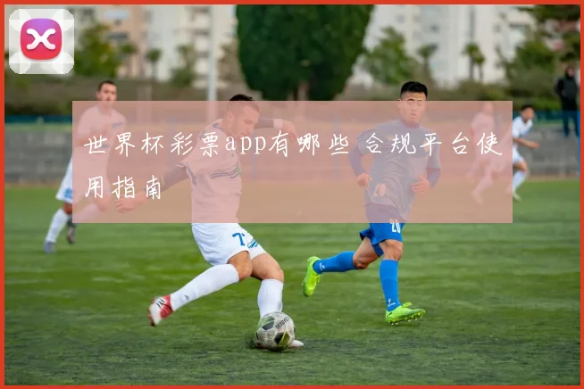 世界杯彩票app有哪些 合规平台使用指南