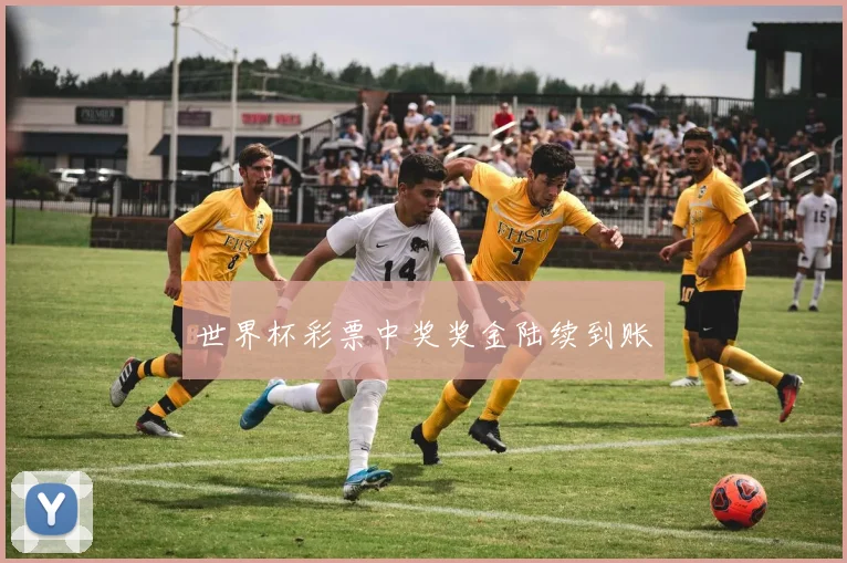 世界杯彩票中奖奖金陆续到账
