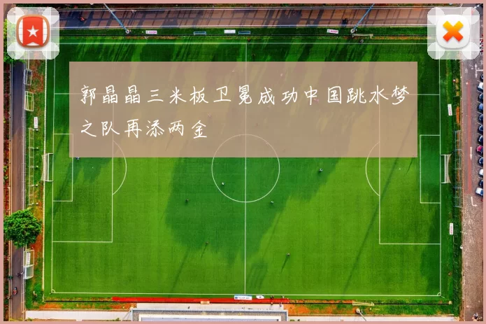 郭晶晶三米板卫冕成功中国跳水梦之队再添两金