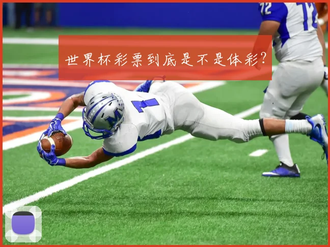 世界杯彩票到底是不是体彩？